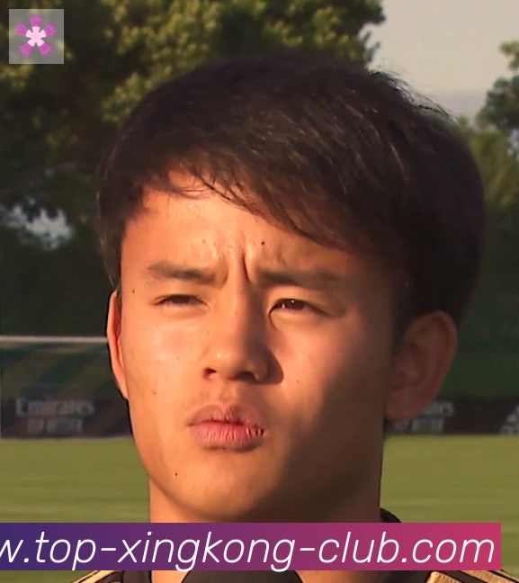 维尼修斯